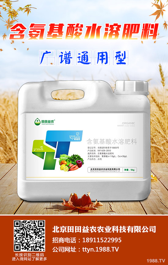 ⛷ʃr���^�m(x��)���{(di��o)��⛷ʃr������һ�[2019-11-14