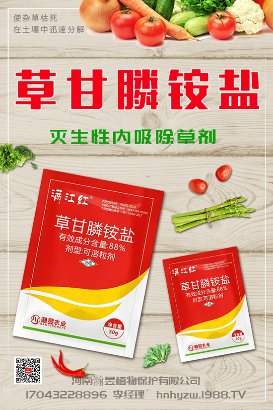 草莓根腐病得了根腐病咋辦？草莓根腐病發(fā)生條件、發(fā)病發(fā)癥狀及防治！