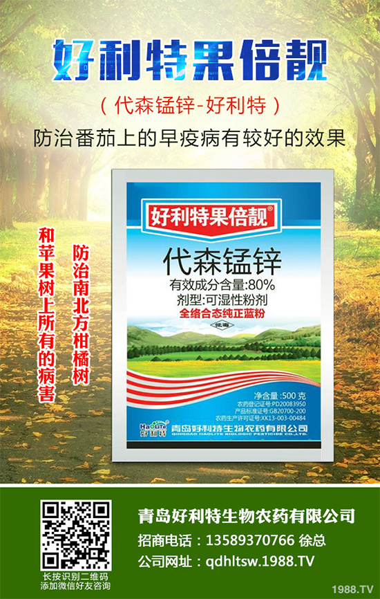 ������rˎ�r��