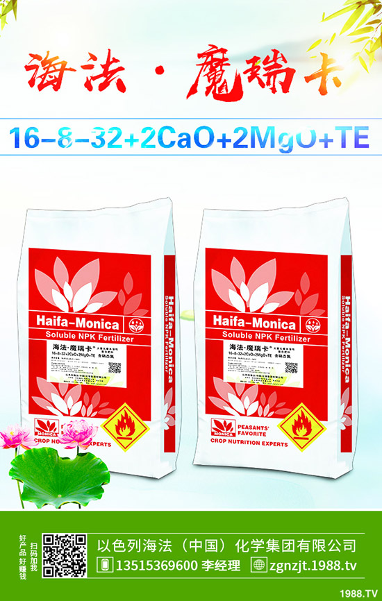     2019��11����Ѯ������@�r(ji��)�������߄�(sh��)�C�Ϸ�����