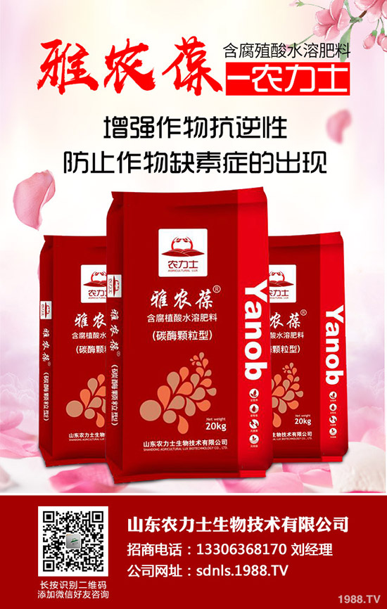     進入11月下旬！最新尿素市場行情后市走勢預測！