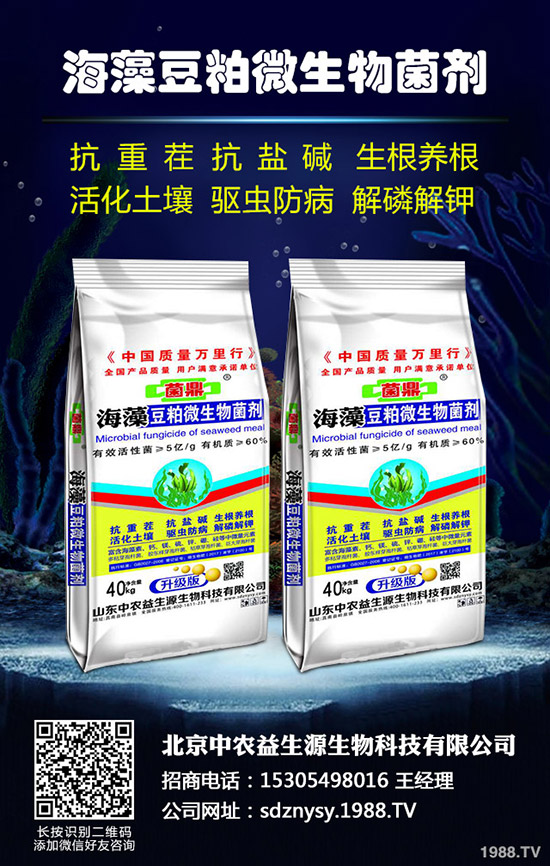 2020年水稻種植怎么樣？賺錢嗎？包多少畝合適？一畝種植成本多少？