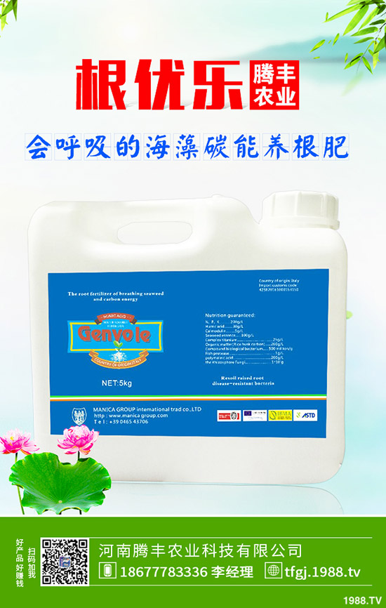 石榴褐斑病導致發(fā)黃落葉怎么辦?石榴褐斑病的防治要點!