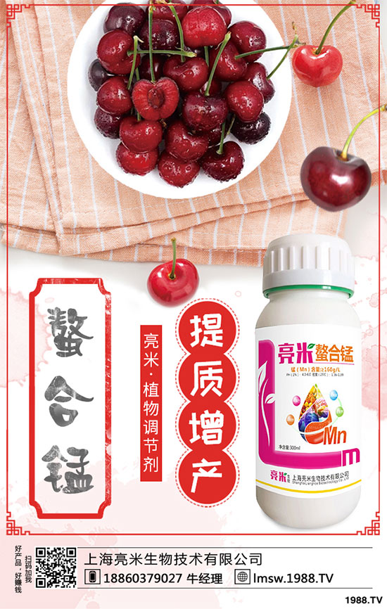 黃秋葵有哪些營(yíng)養(yǎng)價(jià)值?黃秋葵高產(chǎn)栽培技術(shù)