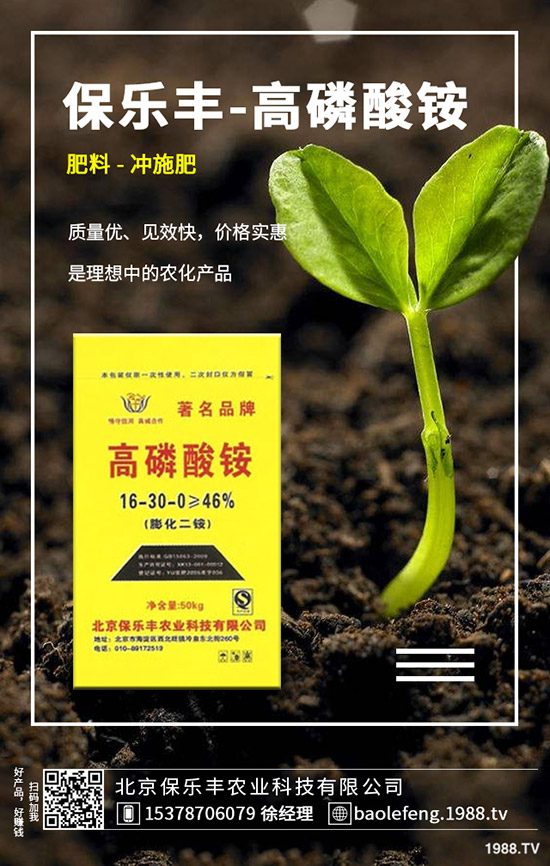 �}���������l(f��)��Ҏ(gu��)������Щ���}������������Ҫ�c(di��n)��