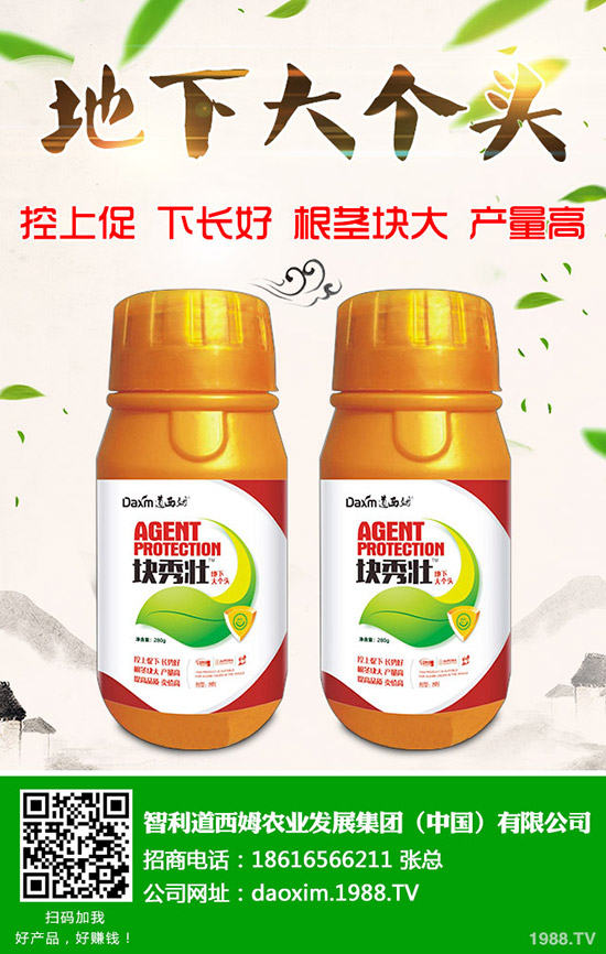 蘿卜得了炭疽病怎么辦？蘿卜炭疽病癥狀和防治方法！