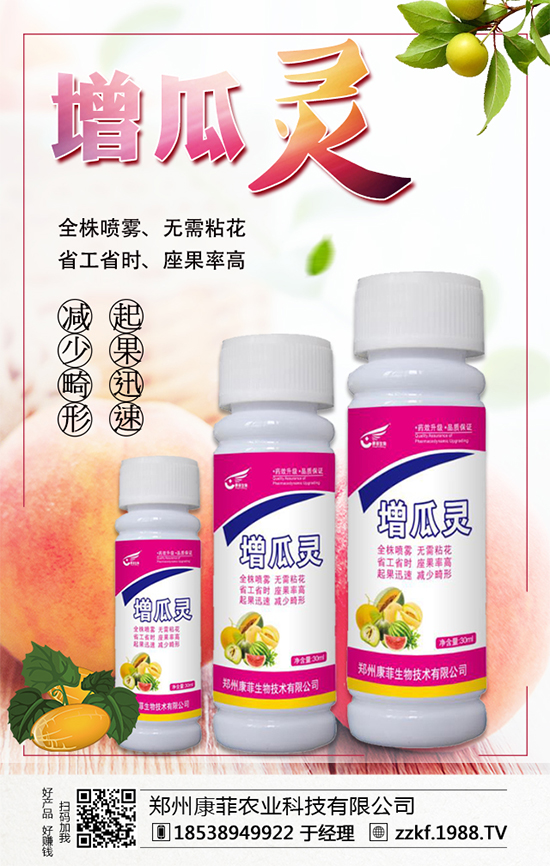 大棚南瓜怎么種植？大棚南瓜的種植中要點(diǎn)！