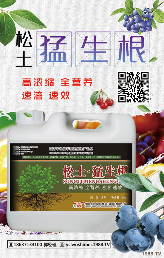 柿子有哪些功效和作用？柿子的食用禁忌！