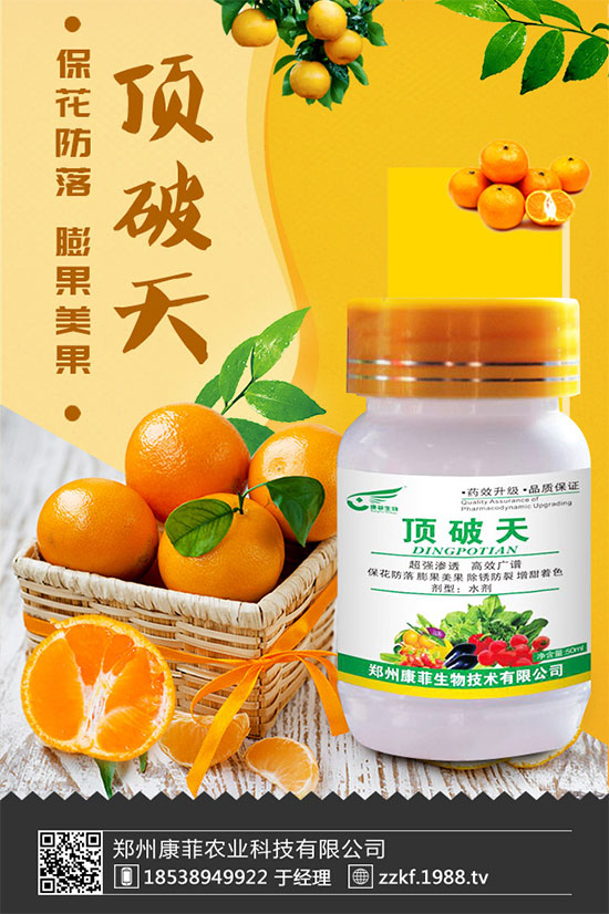 柑橘為什么會黃葉？柑橘黃葉的解決措施！