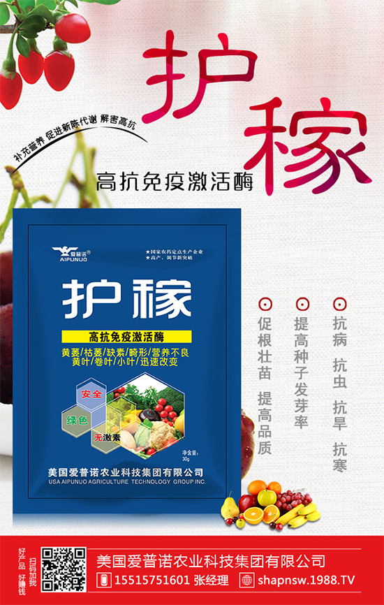 大蒜價(jià)格上漲原因有哪些？2020年大蒜價(jià)格行情預(yù)測(cè)！