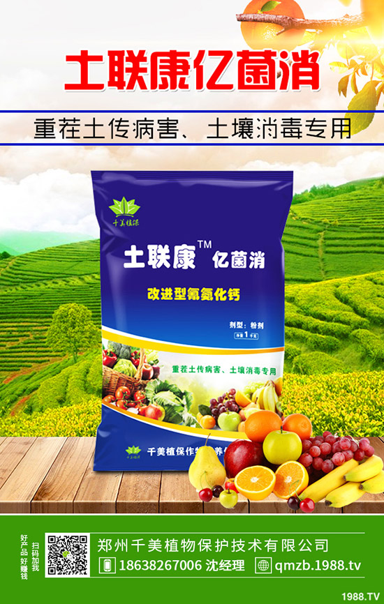     ���ص�������r(ji��)������������������C�Ϸ���2019-11-4