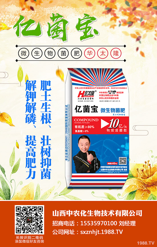     2019��11��4�ս������¸��؅^(q��)�����������S��rһ�[��