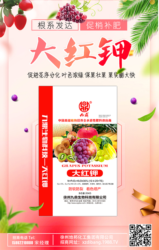 豆芽種植技術要點有哪些？豆芽有哪些功效作用？