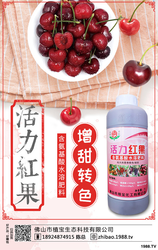 豆角歇伏什么原因?如何應對豆角歇伏?