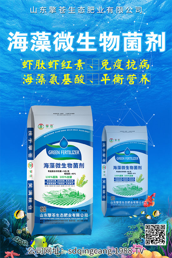 辣椒早衰什么癥狀？辣椒早衰的防治措施！