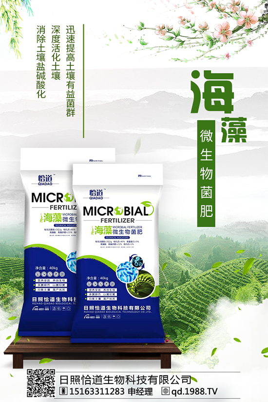 龍膽草的分布地區(qū)，龍膽草的功效與作用！