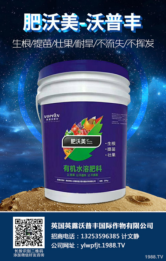 菊花種植方法有哪些?菊花應(yīng)該怎樣養(yǎng)護?