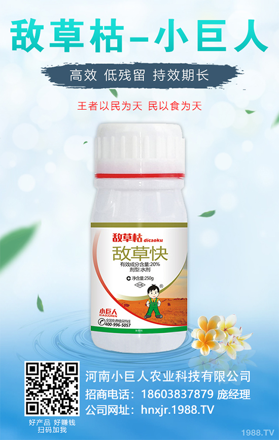 無(wú)花果種植行情怎么樣？如果能實(shí)現(xiàn)種植高產(chǎn)？