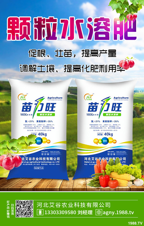 ����ʲô�r��N�������ķNֲ�l������Щ��