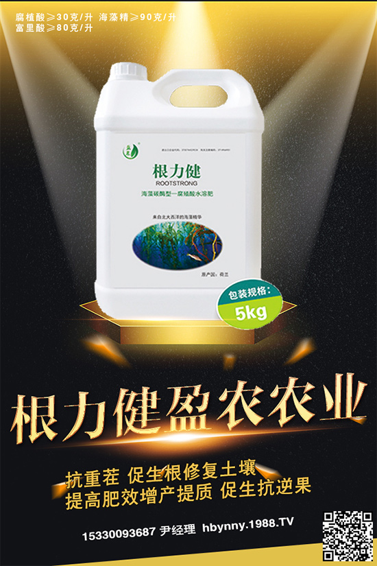     ������ȥ�������_�����_���Ϸ���ע�⡰���ɡ�