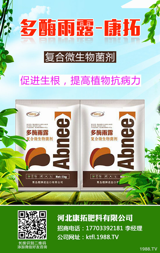 尿素每噸多少錢?2019-12-20今日各地尿素價(jià)格走勢(shì)分析