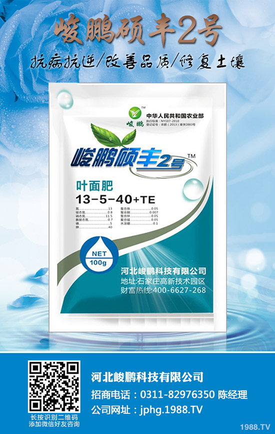 ����ʲô�r��׷��������׷��ע��Ҫ�c��