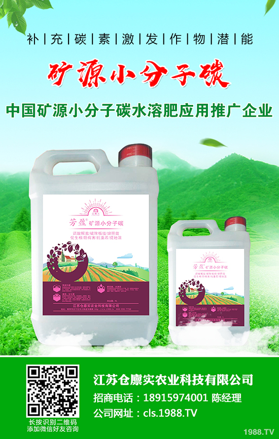 ����������m(x��)����(sh��)��2019-12-21�����������؃r(ji��)�����(b��o)