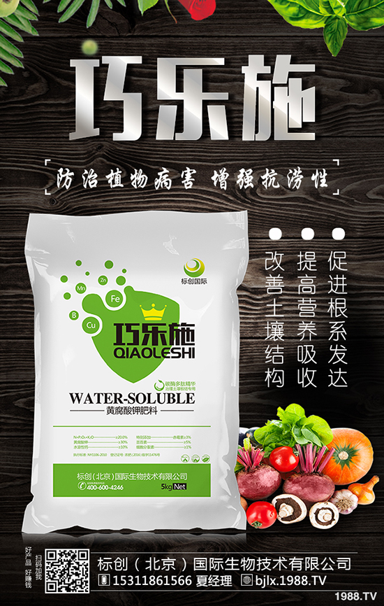 白蠟育苗技術(shù)要點(diǎn)