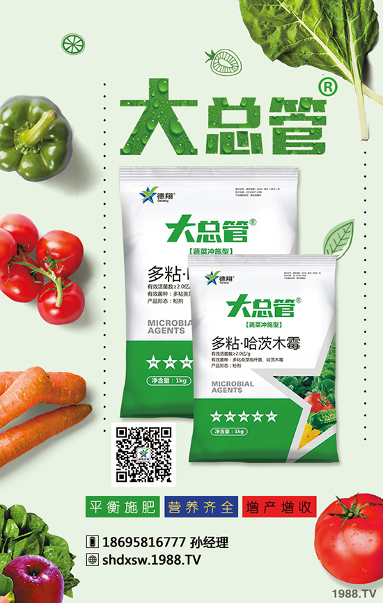 2020年蒜苗種植賺錢(qián)嗎?成本多少錢(qián)?效益怎么樣?前景如何?