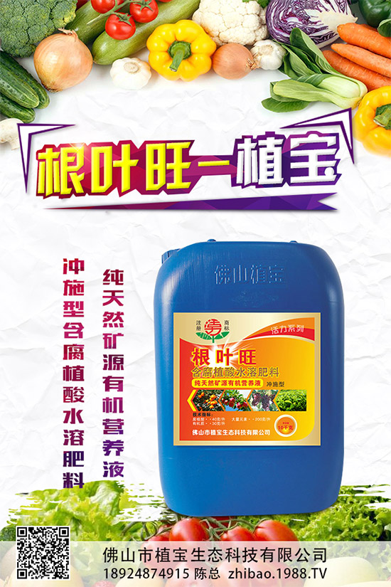     柚子有許多品種，各有各的風(fēng)味。但眼尖的人會(huì)發(fā)現(xiàn)，市面上賣的紅肉蜜柚比普通蜜柚要貴上許多。同樣是柚子，外表看起來也差不多，紅肉蜜柚憑什么比白肉柚子貴？