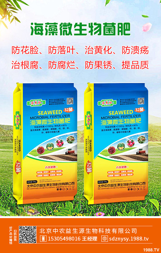     2019年磷銨價(jià)格走勢(shì)一般！2020最新一銨價(jià)格行情預(yù)測(cè)！