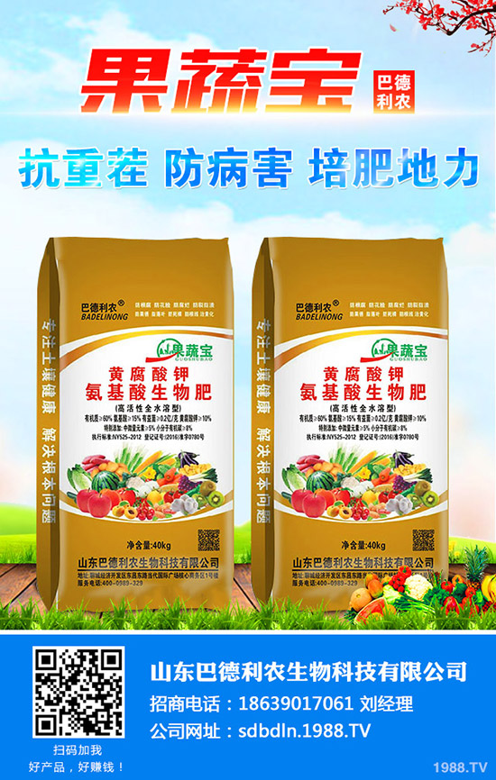 鳳梨產(chǎn)地在哪里?今年種植鳳梨賺錢么?2020年種植前景如何?