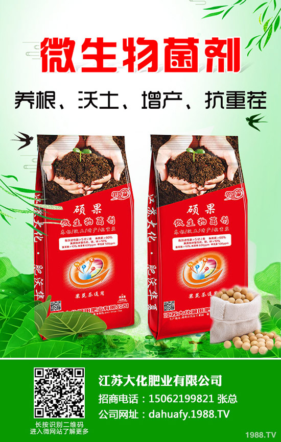 һa(chn)Ƕ2020NֲٍX᣿ǰͳɱ
