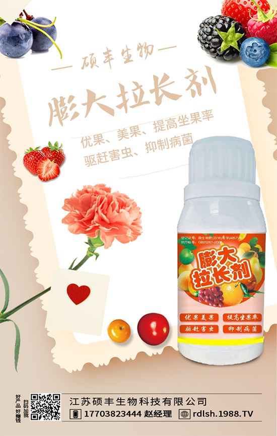 大棚西芹怎么種植？西芹的種植環(huán)境要求！