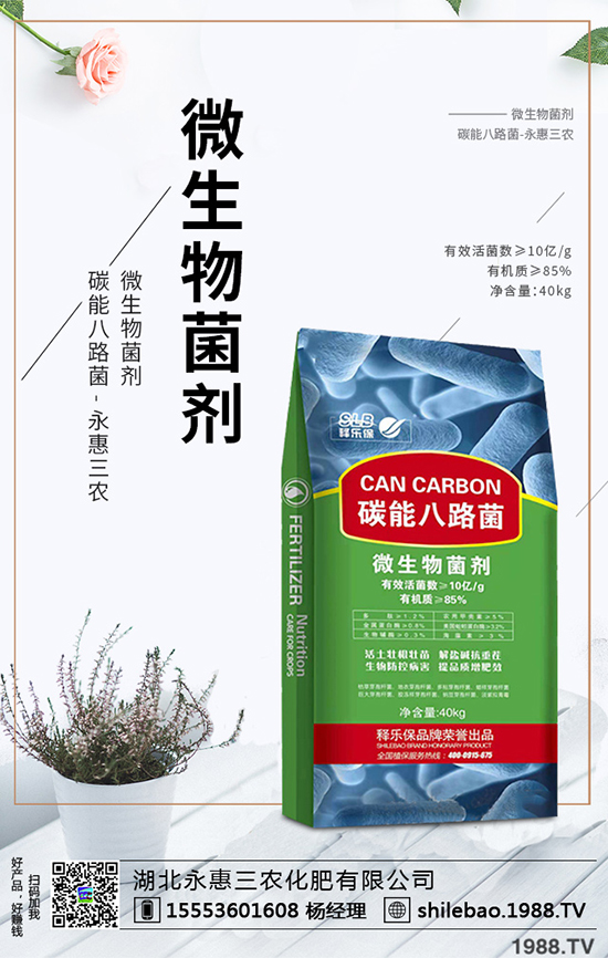 2020年西梅的種植前景如何？西梅價格多少錢一斤？