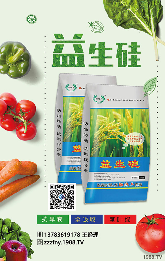 如何掌握蘋果的上肥技術(shù)？這幾點你學(xué)會，增產(chǎn)增收！