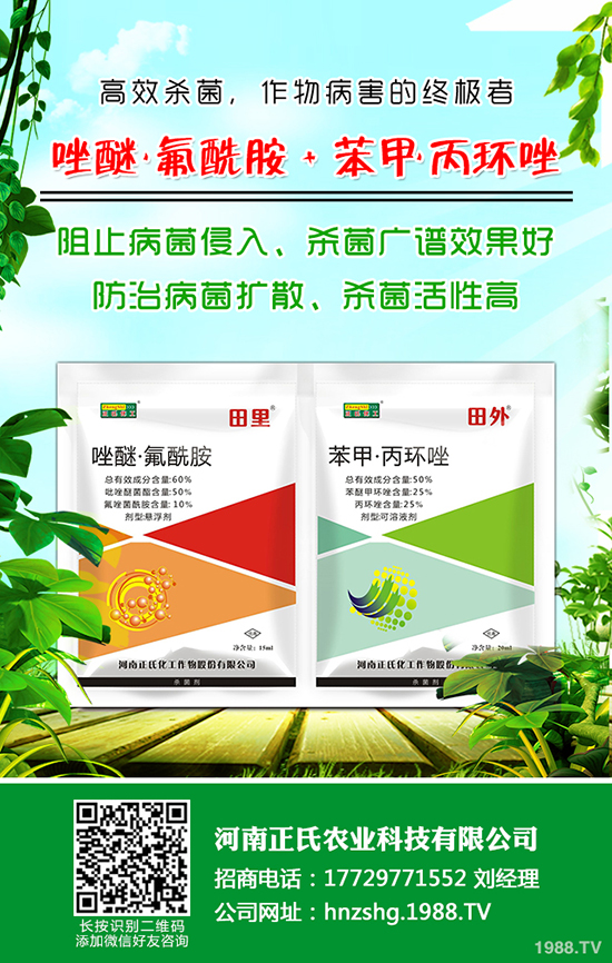 西梅種植的氣候條件，西梅種植的方法！