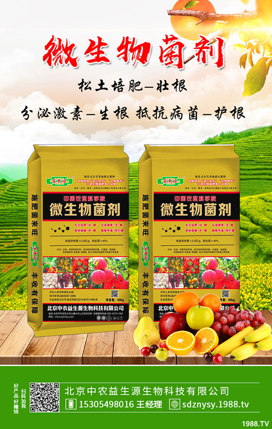 2019年12月底化肥行情不溫不火!2020年化肥價格行情走勢預(yù)測!