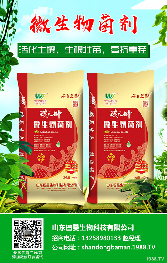     2019-12-29國產(chǎn)鉀肥行情小幅調(diào)漲！最新鉀肥價格信息周報