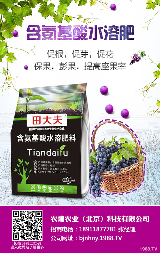 ��ѩ�^�����߲˴�����֪��ԓ��ô����᣿