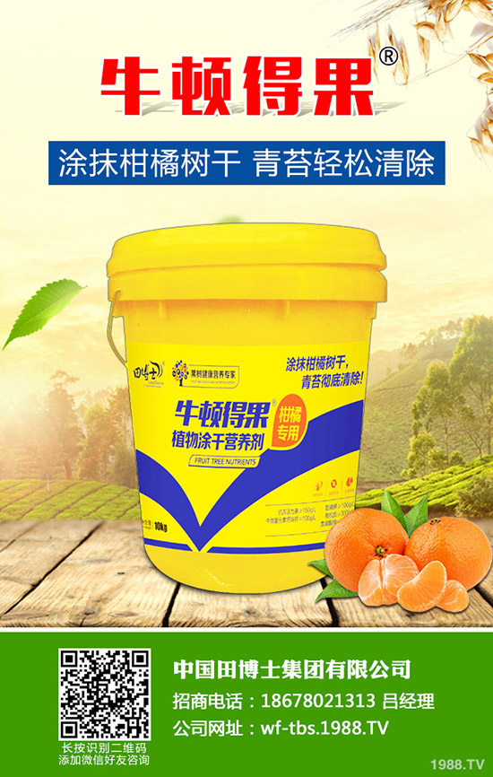 2020種草莓賺錢(qián)嗎?草莓種植的成本及前景預(yù)測(cè)!