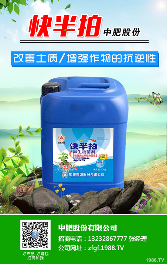 金線(xiàn)蓮該如何種植？金線(xiàn)蓮的種植及養(yǎng)管理