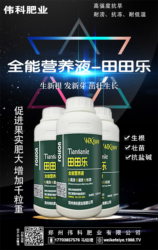     ���ӵĠI�B(y��ng)�r(ji��)ֵ����Щ����Ч�c��������Щ��������Щ��Ⱥʳ�ã�