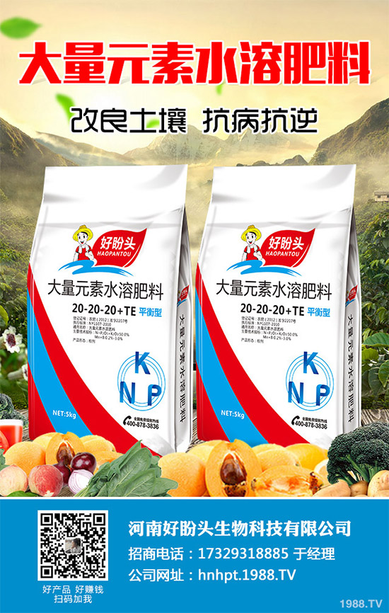 你所不知道的金線蓮，輕松排除人體11種毒素！