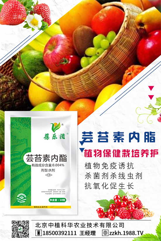 彩椒什么時間種植？彩椒的高產(chǎn)種植方法！