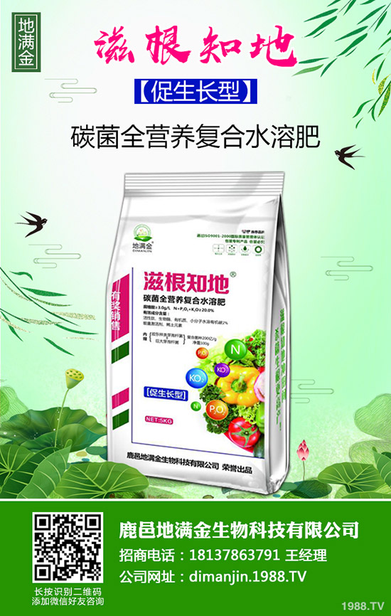     甜糯玉米什么時候種植？種植時間及種植技術(shù)和管理方法！