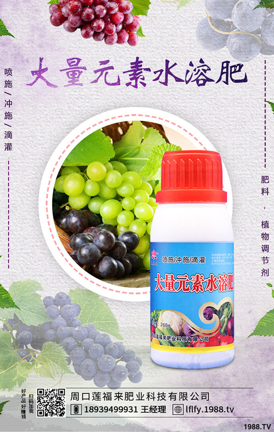 豆角煤霉病如何防治，豆角煤霉病藥有哪些？