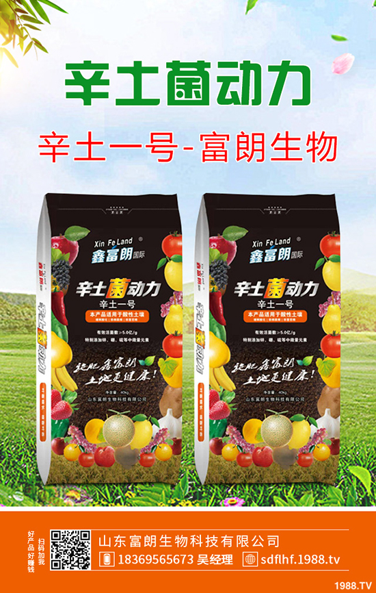     2019年12月6日二銨交投持續(xù)清淡！今日最新二銨主流出廠報價！