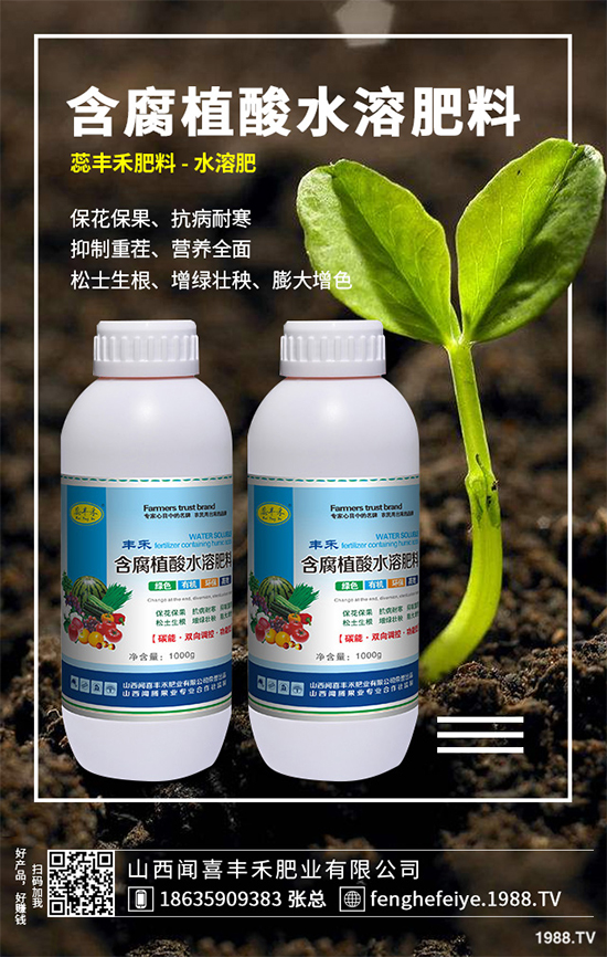 盆栽蔬菜該怎么種？盆栽蔬菜的高產(chǎn)種植技術(shù)