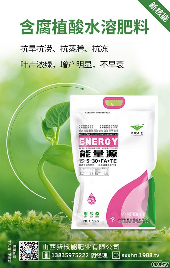 盆栽蔬菜該怎么種？盆栽蔬菜的高產(chǎn)種植技術(shù)
